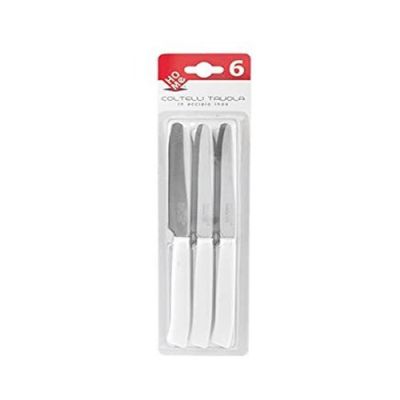 6 coltelli tavola acciaio inox 