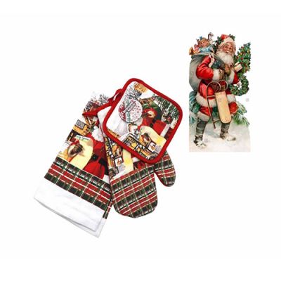 Set natalizio guanto presina e asciughino in cotone 