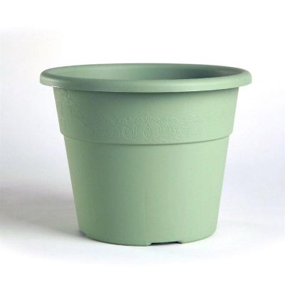 VASO HEDERA-SALVIA 