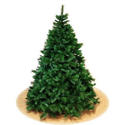Albero di Natale Monte Rosa abete verde  240 cm con 2535 rami a stella 