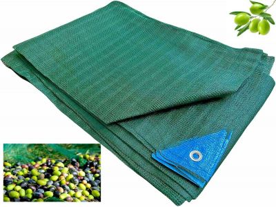 Telo Antispina Rete per raccolta Olive 8X10 mt - 90 gr/mq CON Apertura Colore Verde con Angoli Rinforzati