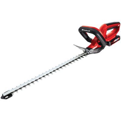TAGLIASIEPI GE CH 1846