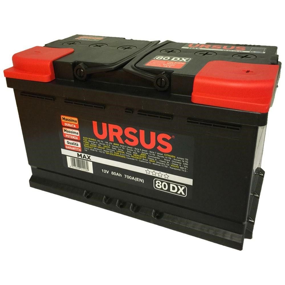 URSUS MAX BATTERIA PER AUTO 80 Ah DX