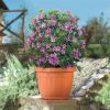 VASO TERRA TERRACOTTA D. 20