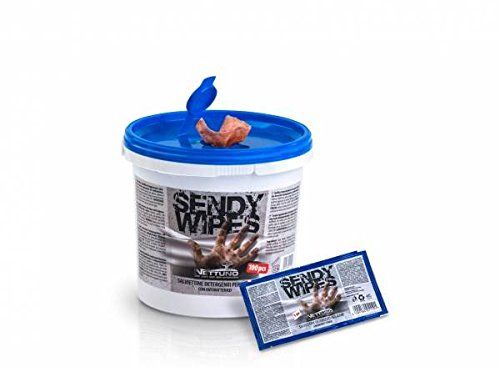 NETTUNO SENDY WIPES SECCHIELLO 100 SALVIETTE