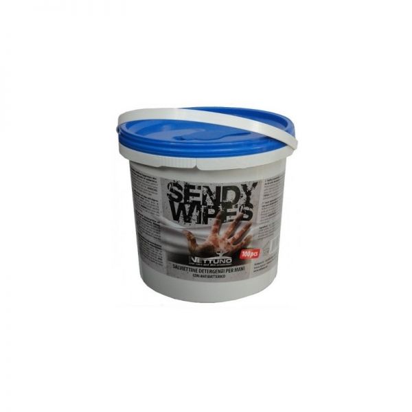 NETTUNO SENDY WIPES SECCHIELLO 100 SALVIETTE