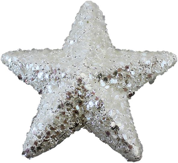 stella bianca di natale 1 pezzo 22cm