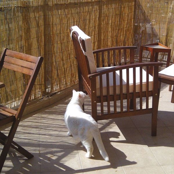 Arella CINA in bamboo 1,5X5 mt canniccio arelle per recinzione arelle in cannette di bambu 