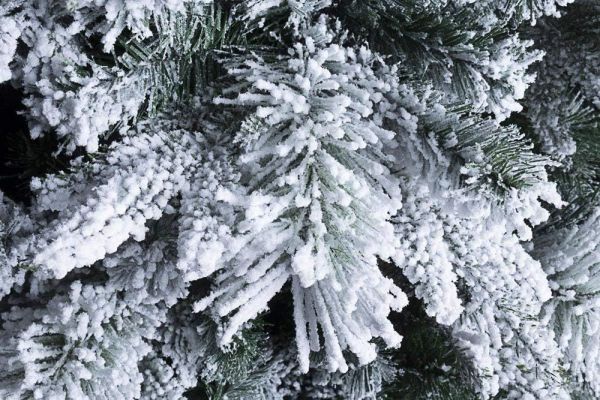 Albero di Natale Slim Dresda innevato H 240 CM 868 rami