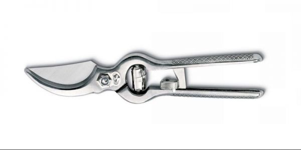 Forbice da vigna professionale cm 25