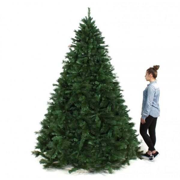 Albero di Natale Monte Rosa abete verde  240 cm con 2535 rami a stella