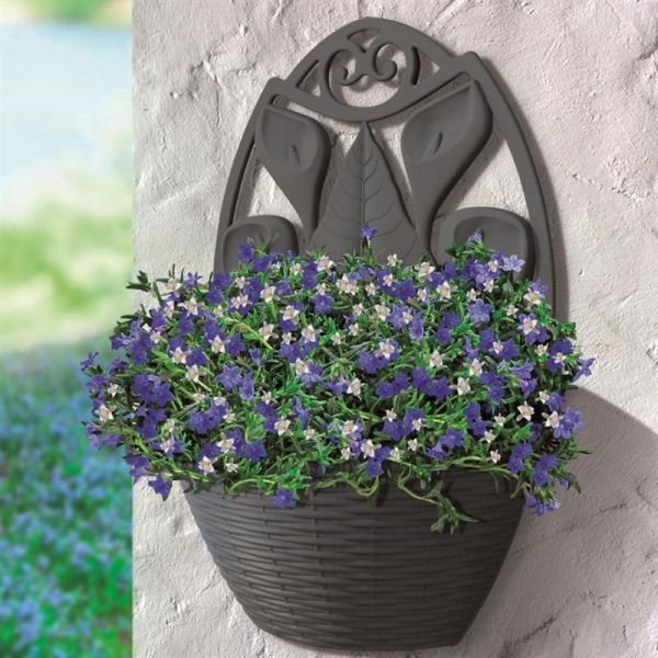 Bama Gerla Paglia vaso da parete in rattan vaso colore antracite 32x16x42,5h