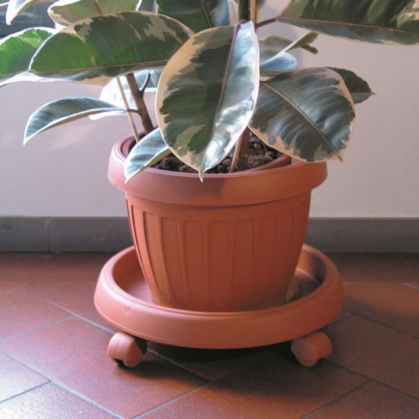 Bama sottovaso sotto vaso tondo con ruote in plastica terracotta 30 cm 